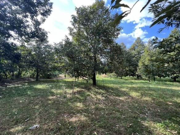 4,400 sqm of land in Rayong, can be built into a 7-storey residential building