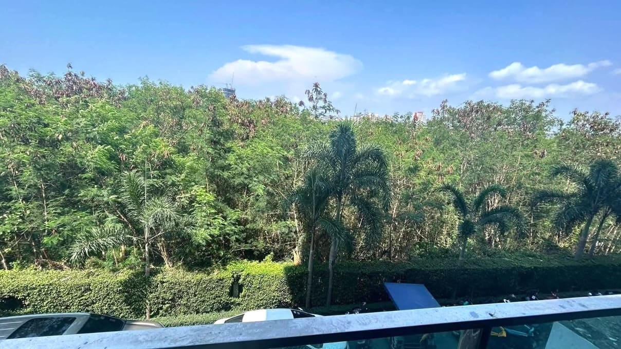 6589 Dusit Grand Park 1(杜斯特1期公寓)|2居63㎡|3楼|绿植景观
