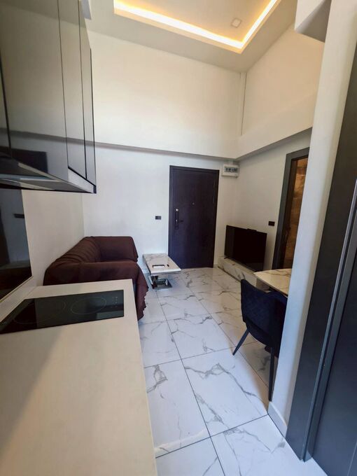 Arcadia Millennium Tower（阿卡迪亚千禧大厦）1居29㎡｜5楼｜双层挑高户型｜相邻两套出售